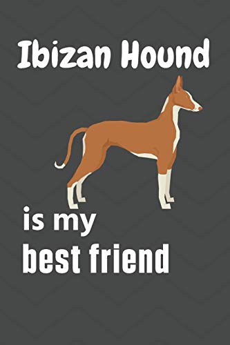 Ibizan Hound is my best friend: For Ibizan Hound Dog Fans