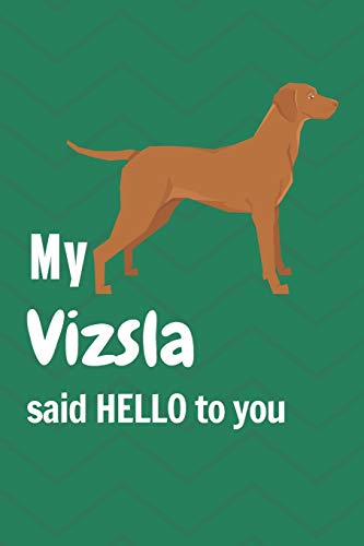 My Vizsla said HELLO to you: For Vizsla Dog Fans