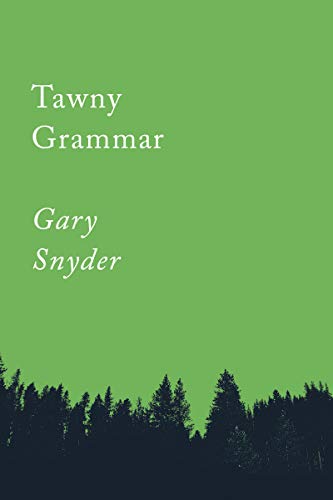 Tawny Grammar: Essays (Counterpoints Series)