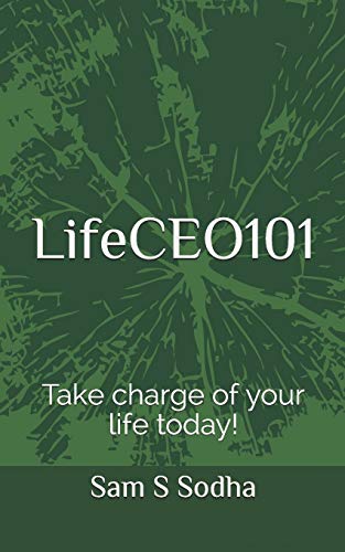 Life CEO 101: Take charge of your life today!