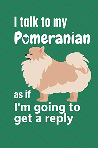 I talk to my Pomeranian as if I'm going to get a reply: For Pomeranian Puppy Fans