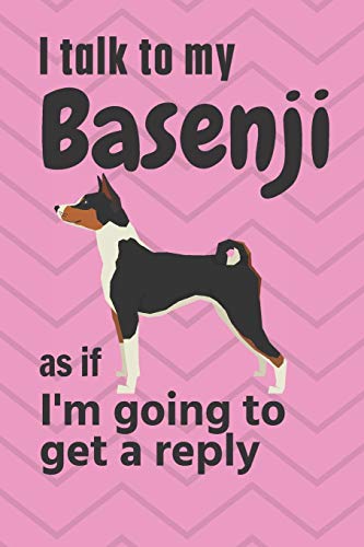 I talk to my Basenji as if I'm going to get a reply: For Basenji Puppy Fans