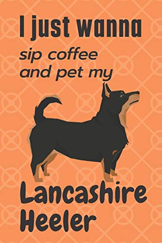 I just wanna sip coffee and pet my Lancashire Heeler: For Lancashire Heeler Dog Fans
