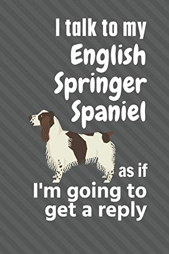 I talk to my English Springer Spaniel as if I'm going to get a reply: For English Springer Spaniel Puppy Fans