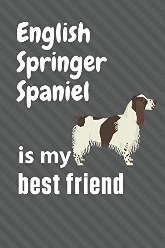 English Springer Spaniel is my best friend: For English Springer Spaniel Dog Fans