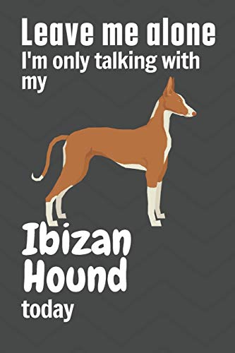 Leave me alone I'm only talking with my Ibizan Hound today: For Ibizan Hound Dog Fans