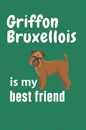 Griffon Bruxellois is my best friend: For Griffon Bruxellois Dog Fans