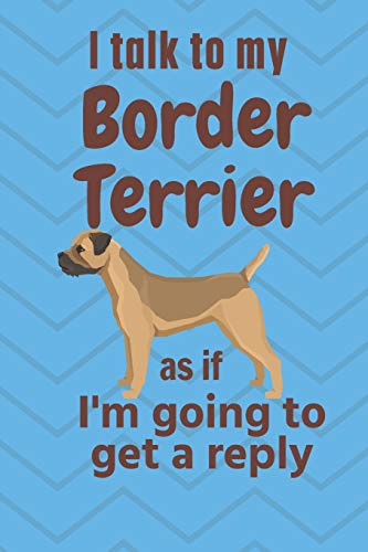 I talk to my Border Terrier as if I'm going to get a reply: For Border Terrier Puppy Fans