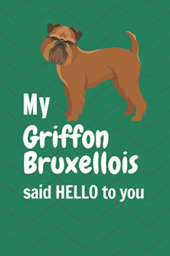 My Griffon Bruxellois said HELLO to you: For Griffon Bruxellois Dog Fans