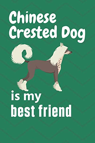 Chinese Crested is my best friend: For Chinese Crested Dog Fans