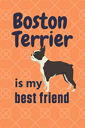 Boston Terrier is my best friend: For Boston Terrier Dog Fans
