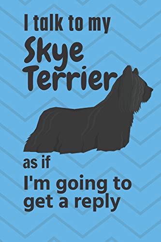 I talk to my Skye Terrier as if I'm going to get a reply: For Skye Terrier Puppy Fans