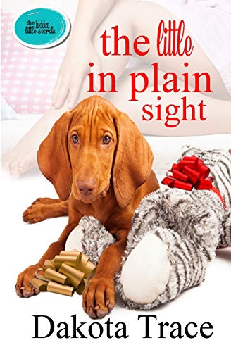 The Little In Plain Sight (The Hidden Little Secrets)