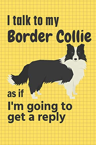 I talk to my Border Collie as if I'm going to get a reply: For Border Collie Puppy Fans