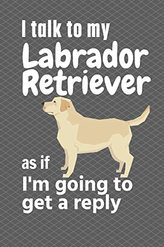 I talk to my Labrador Retriever as if I'm going to get a reply: For Labrador Retriever Puppy Fans