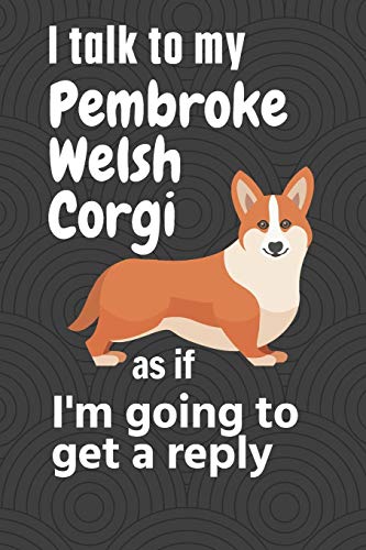 I talk to my Pembroke Welsh Corgi as if I'm going to get a reply: For Pembroke Welsh Corgi Puppy Fans