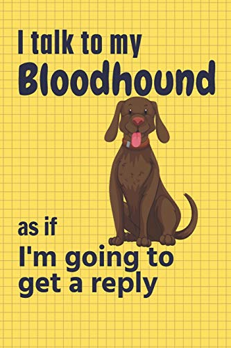 I talk to my Bloodhound as if I'm going to get a reply: For Bloodhound Puppy Fans