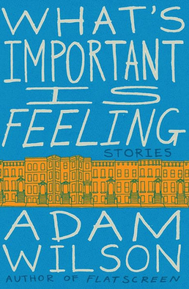 What'S Important Is Feeling: Stories