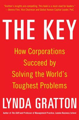 The Key: How Corporations Succeed By Solving The World'S Toughest Problems