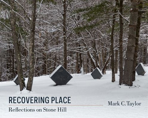 Recovering Place: Reflections On Stone Hill (Religion, Culture, And Public Life, 17)