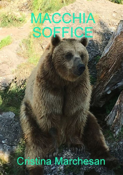 Macchia Soffice (Italian Edition)