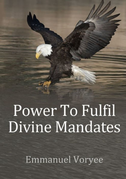 Power To Fulfil Divine Mandates - 9780244394691
