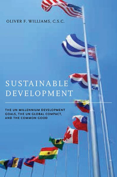 Sustainable Development: The Un Millennium Development Goals, The Un Global Compact, And The Common Good (John W. Houck Notre Dame Series In Business Ethics)