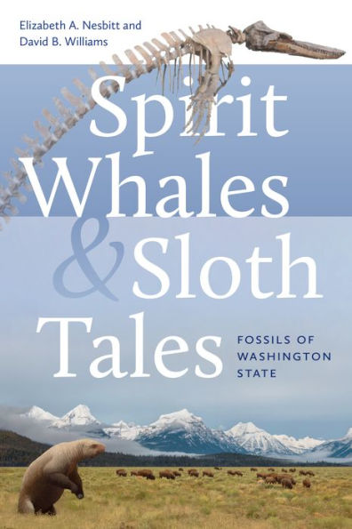 Spirit Whales And Sloth Tales: Fossils Of Washington State