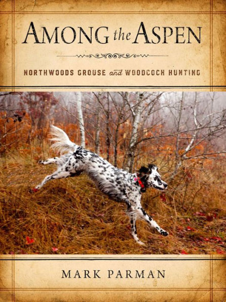Among The Aspen: Northwoods Grouse And Woodcock Hunting