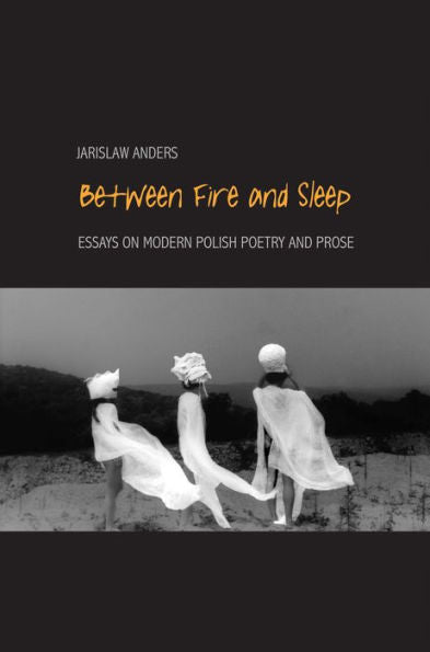 Between Fire And Sleep: Essays On Modern Polish Poetry And Prose