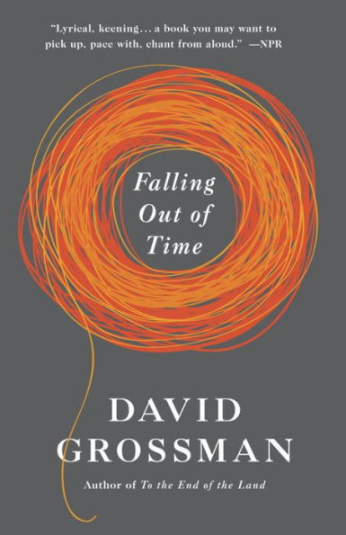 Falling Out Of Time (Vintage International)
