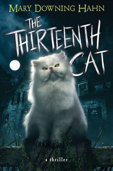 The Thirteenth Cat - 9780358672517
