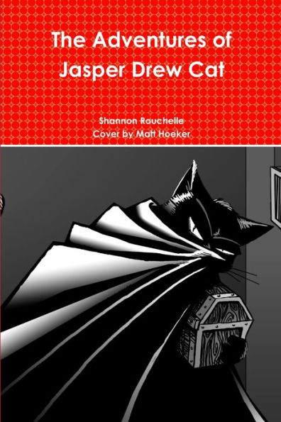 The Adventures Of Jasper Drew Cat