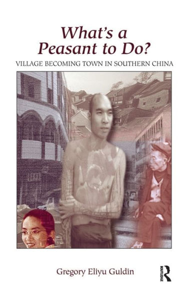 What'S A Peasant To Do? Village Becoming Town In Southern China: Village Becoming Town In Southern China