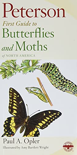 Peterson First Guide To Butterflies And Moths