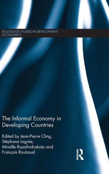 The Informal Economy In Developing Countries (Routledge Studies In Development Economics)
