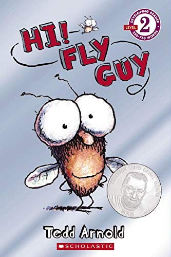 Hi! Fly Guy