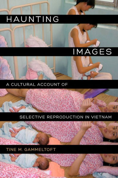Haunting Images: A Cultural Account Of Selective Reproduction In Vietnam (Philip E. Lilienthal Books)