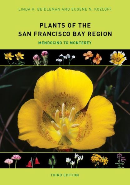 Plants Of The San Francisco Bay Region: Mendocino To Monterey