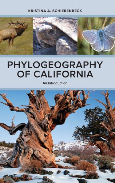 Phylogeography Of California: An Introduction