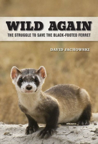 Wild Again: The Struggle To Save The Black-Footed Ferret