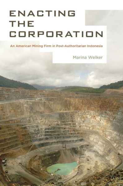 Enacting The Corporation: An American Mining Firm In Post-Authoritarian Indonesia