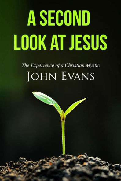 A Second Look At Jesus: The Perspective Of Experience