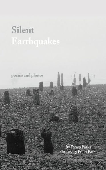 Silent Earthquakes: Poems And Photos