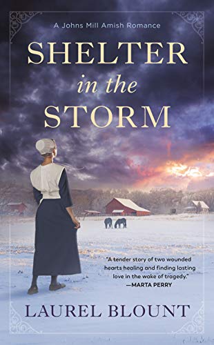 Shelter In The Storm (A Johns Mill Amish Romance)