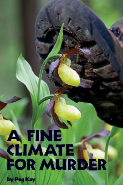 A Fine Climate For Murder (A Bea Goode Mystery)