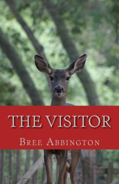 The Visitor: Gifts In Strange Wrappings