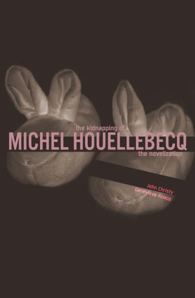 The Kidnapping Of Michel Houellebecq: The Novelization
