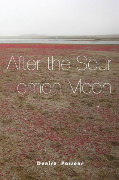 After The Sour Lemon Moon