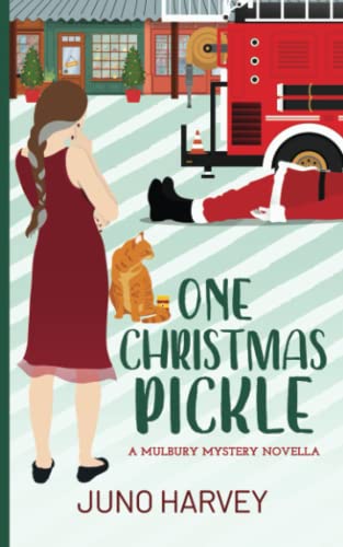 One Christmas Pickle: A Mulbury Mystery Novella